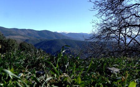 36 SOL·LICITUDS ALS AJUTS DEL TIQUET RURAL A L’ALT PIRINEU I ARAN