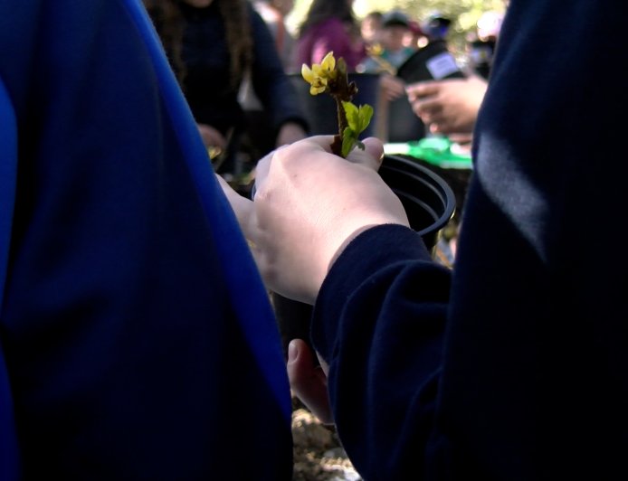 L’ALUMNAT DE CINQUÈ DE PRIMÀRIA CELEBRA EL DIA DE L’ARBRE A LA SEU D’URGELL