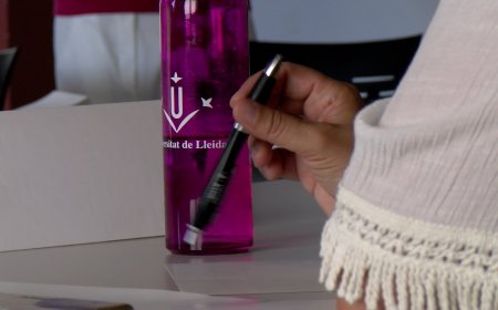 LA SEU D’URGELL ACOLLIRÀ SIS CURSOS DE LA UNIVERSITAT D’ESTIU DE LA UDL