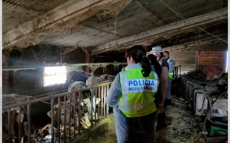 DENUNCIAT PENALMENT UN RAMADER DE L’ALT URGELL 