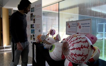 L’HOSPITAL DE CERDANYA FA DIVULGACIÓ SOBRE LA SALUT VISUAL AMB MAQUETES D’ULLS FETS PER INFANTS