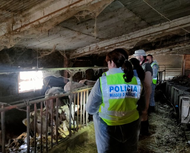 DENUNCIAT PENALMENT UN RAMADER DE L’ALT URGELL 