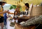  LA FESTA DE LES TREMENTINAIRES REIVINDICA EL LLEGAT DE LES DONES REMEIERES
