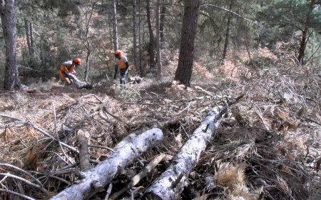 CREAND I INTEGRA PIRINEUS COL·LABOREN PER FER GESTIÓ FORESTAL EN UNA FINCA A SANT JOAN FUMAT