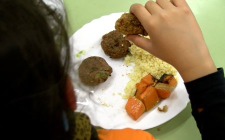 EL CONSELL COMARCAL DE L’ALT URGELL APROVA L’INCREMENT DEL PREU DEL MENJADOR ESCOLAR
