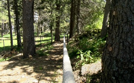 L’ESTACIÓ DE TUXIENT-LA VANSA SENSIBILITZA ELS VISITANTS AMB UN CENTRE DE NATURA I UN CIRCUIT DEL SILENCI