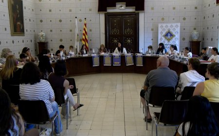 EL CONSELL MUNICIPAL D’INFANTS FA BON BALANÇ DE LES MESURES CONTRA L’ASSETJAMENT ESCOLAR