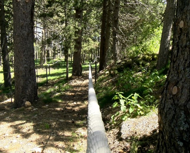L’ESTACIÓ DE TUXIENT-LA VANSA SENSIBILITZA ELS VISITANTS AMB UN CENTRE DE NATURA I UN CIRCUIT DEL SILENCI