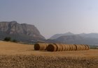  L’ALT URGELL DEMANA LA PARALITZACIÓ DEL PLATER