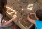 EL CASAL DE L’ESPAI ERMENGOL APROPA LA HISTÒRIA I EL PATRIMONI LOCAL ALS INFANTS