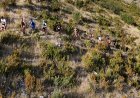  LA TRAIL ESTERREGALLS DOBLA ELS INSCRITS DE LA PRIMERA EDICIÓ