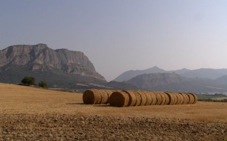  L’ALT URGELL DEMANA LA PARALITZACIÓ DEL PLATER