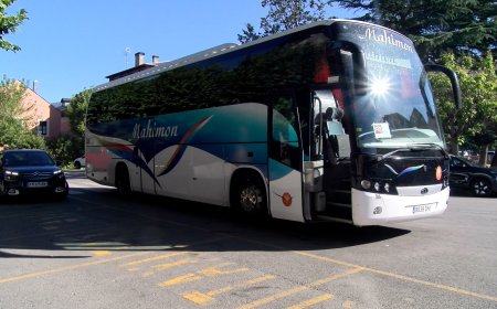 EL RETORN DELS TRENS DE L’R3 FINS A PUIGCERDÀ ES VEU AFECTAT PER LA CAIGUDA D’UN ARBRE 