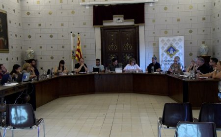 LA SEU D’URGELL APROVA UNA NOVA ORDENANÇA DE CIVISME I CONVIVÈNCIA