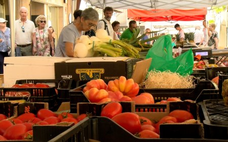  LA SEU TÉ OBERT FINS EL 15 D’AGOST EL TERMINI PER A NOVES PARADES DEL MERCAT SETMANAL