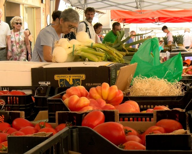  LA SEU TÉ OBERT FINS EL 15 D’AGOST EL TERMINI PER A NOVES PARADES DEL MERCAT SETMANAL