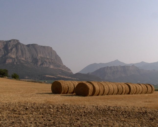  L’ALT URGELL DEMANA LA PARALITZACIÓ DEL PLATER
