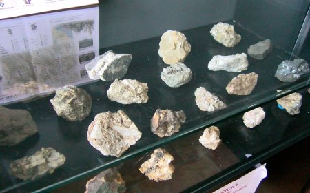 L’ESPAI CERETÀNIA DE BOLVIR AMPLIA L’EXPOSICIÓ PERMANENT AMB UNA COL·LECCIÓ DE MINERALS 