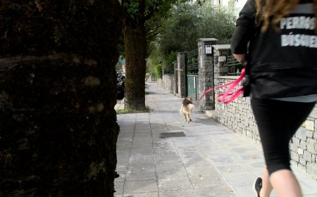 L’ALT URGELL ES CONVERTEIX EN L’EPICENTRE DE LA FORMACIÓ DE GOSSOS DE RECERCA DE PERSONES