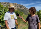 Una verema a 1.200 metres d’alçada: Connecta Lleida Pirineus 22-06-2026