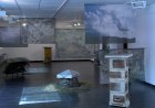 L’EXPOSICIÓ ‘BRUNZITS I ANHELS’ REFLEXIONA SOBRE EL FUTUR DE L’APICULTURA
