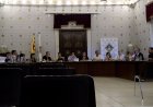 EL PLE DE LA SEU APROVA UNA MOCIÓ CONTRA LES MULTES A ‘LA SEU PER PALESTINA’