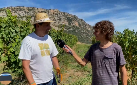 Una verema a 1.200 metres d’alçada: Connecta Lleida Pirineus 22-06-2026