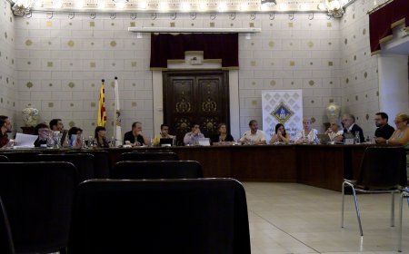 EL PLE DE LA SEU APROVA UNA MOCIÓ CONTRA LES MULTES A ‘LA SEU PER PALESTINA’