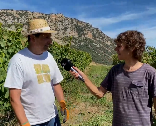 Una verema a 1.200 metres d’alçada: Connecta Lleida Pirineus 22-06-2026