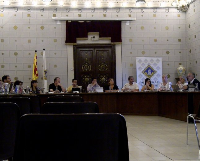 EL PLE DE LA SEU APROVA UNA MOCIÓ CONTRA LES MULTES A ‘LA SEU PER PALESTINA’