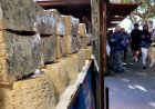 BONA AFLUÈNCIA A LA FIRA DE SANT ERMENGOL TOT I LA PLUJA DEL DARRER DIA