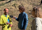 Cavalls que guanyen terreny al bosc a Aristot: Connecta Lleida Pirineus 14-10-2026