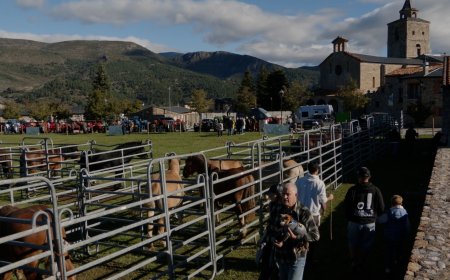 LA 52a FIRA RAMADERA DE BELLVER REIVINDICA EL FUTUR DEL SECTOR I LES TRADICIONS DEL TERRITORI