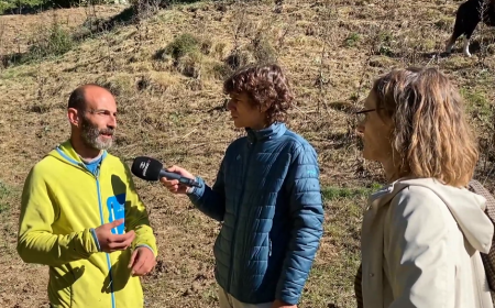 Cavalls que guanyen terreny al bosc a Aristot: Connecta Lleida Pirineus 14-10-2026
