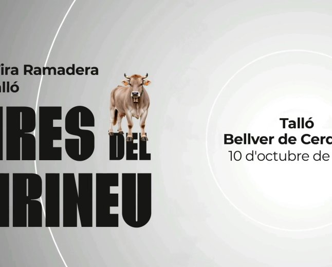 Fira Ramadera de Talló.